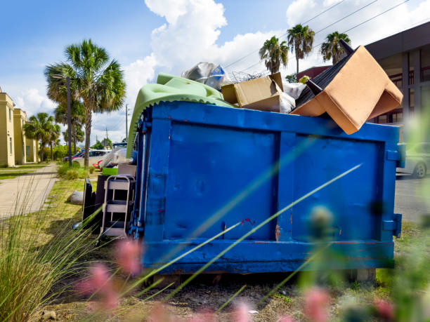 Best Basement Cleanout Services  in Ceredo, WV